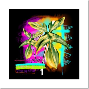 Philodendron Florida Beauty Posters and Art